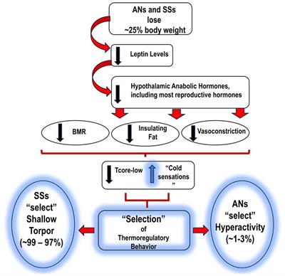 Similarities and differences regarding acute anorexia nervosa and semi-starvation: does behavioral thermoregulation play a central role?